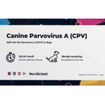 Canines Parvovirus A (CPV)