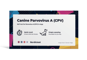 Canines Parvovirus A (CPV)