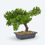 Künstlicher Bonsai